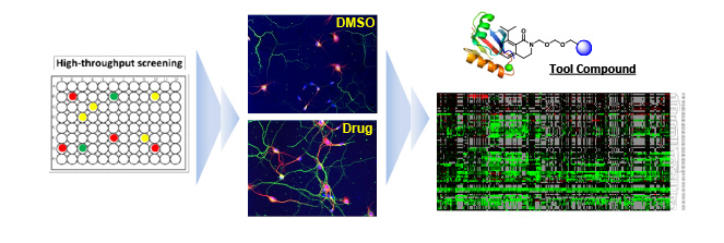 ntk-research-2
